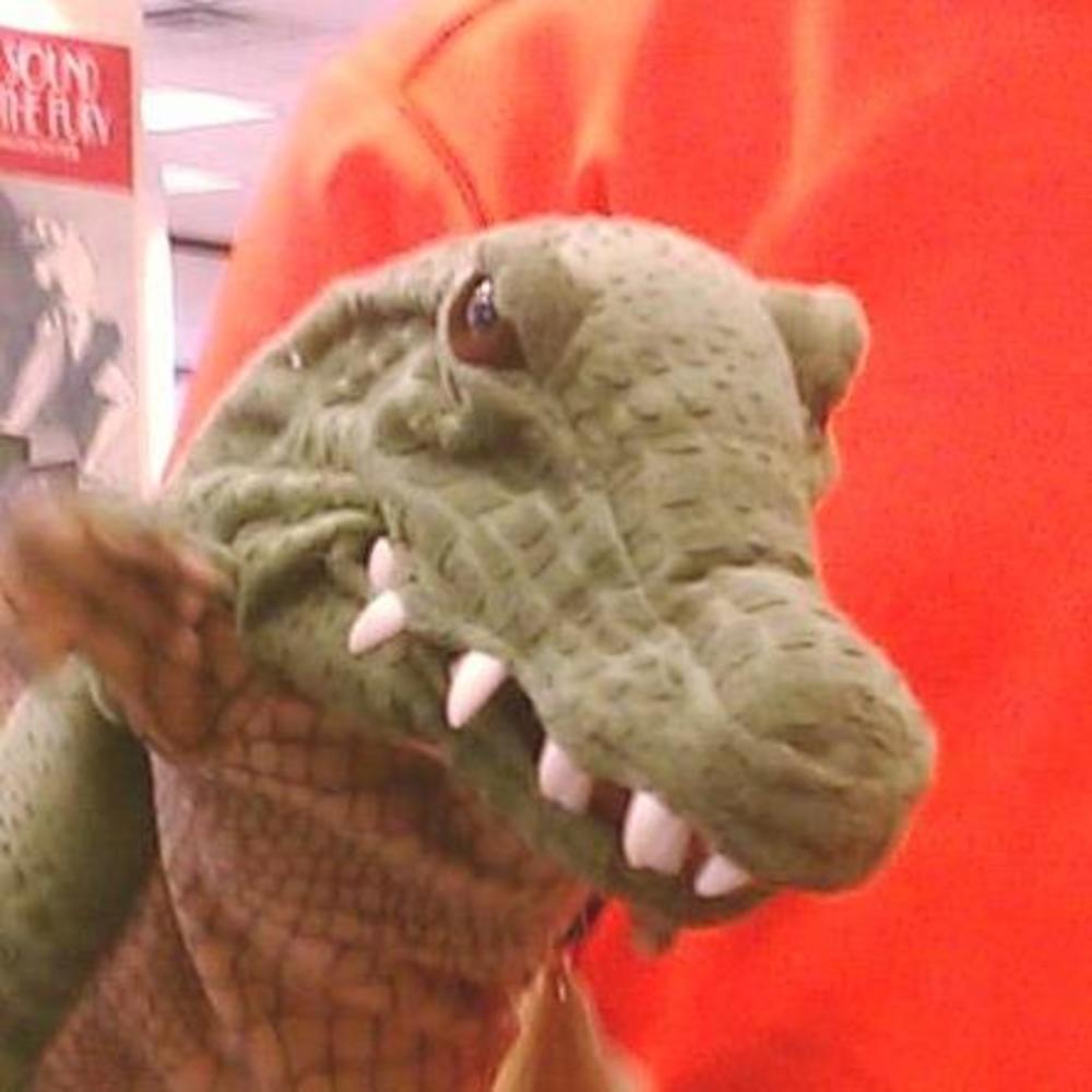 Meet your Posher, James